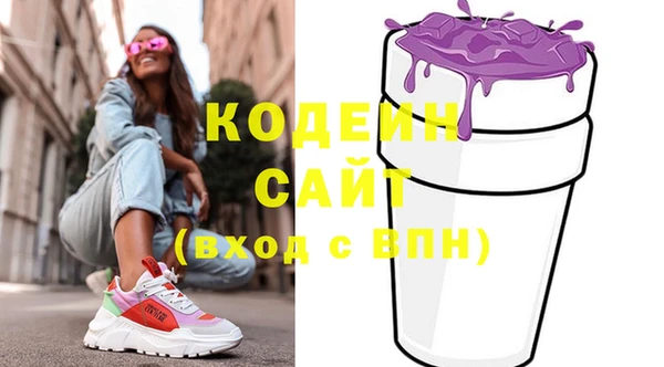 2c-b Инсар