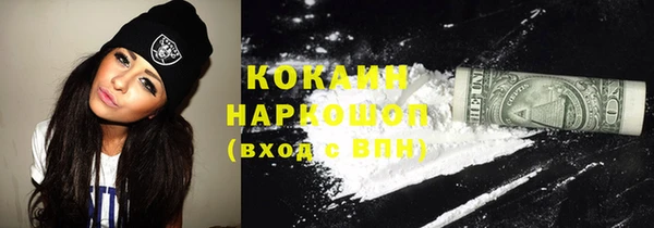2c-b Инсар