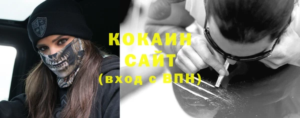 2c-b Инсар