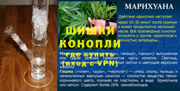 2c-b Инсар