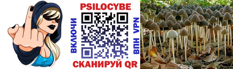 Псилоцибиновые грибы прущие грибы  Купить закладки  Дальнереченск 